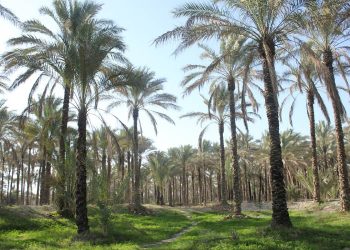 الو سلام حاج آقا / ۵۷
